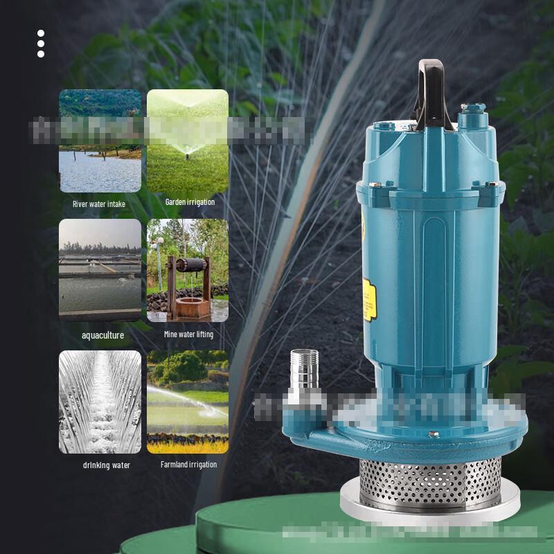 Pompe à eau propre submersible domestique Kalei 220V QDX-750W prise CN (adaptateur inclus)