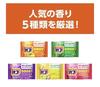 Kao Bab Carbonated Bath Tablets 60pcs Assorted 5 popular scents Japan salts