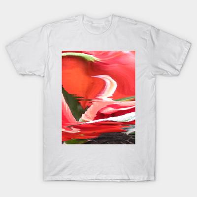 Üst Kıyafetler – T-shirtler