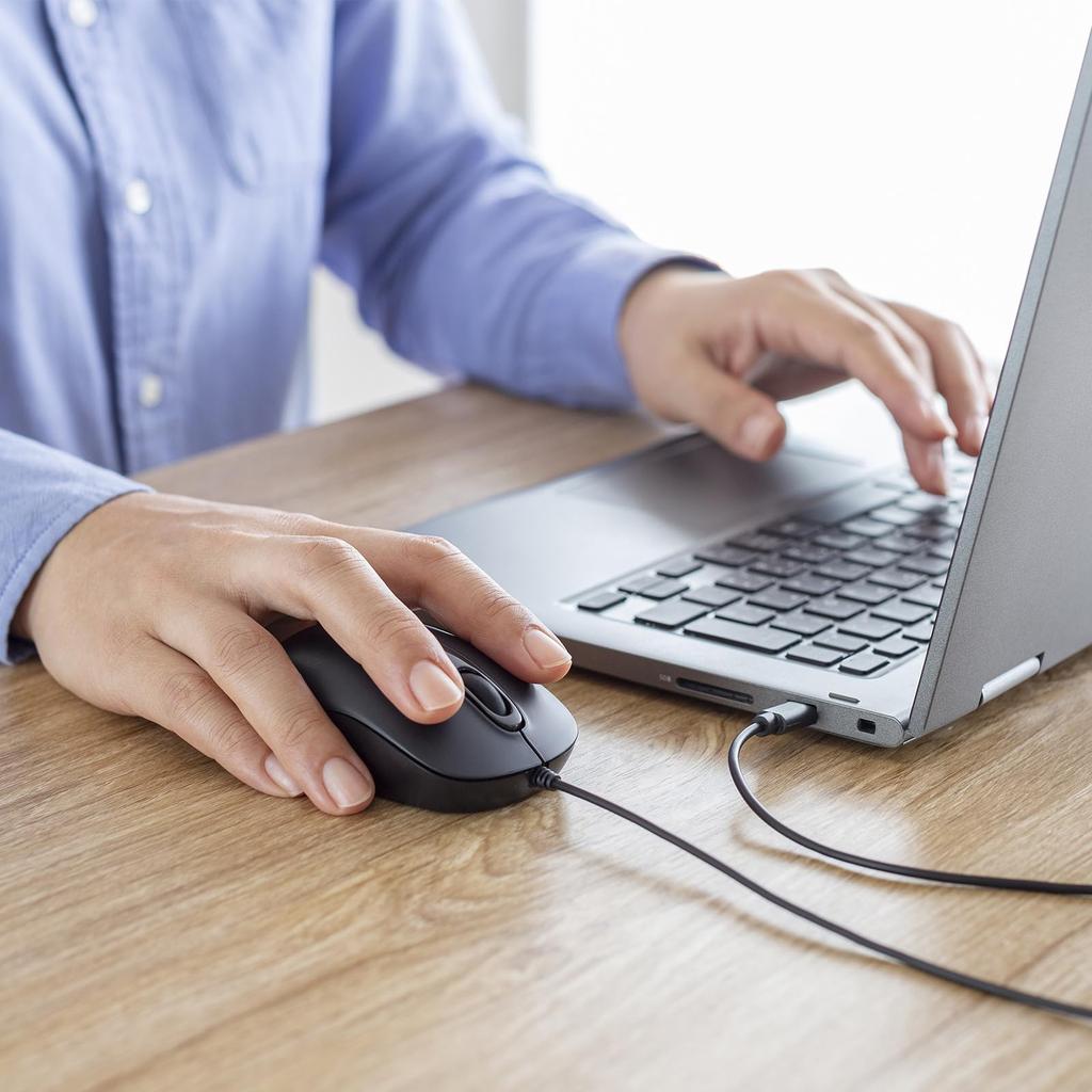 Sanwa Supply Wired Laser Mouse Type-C MA-LSC176BK