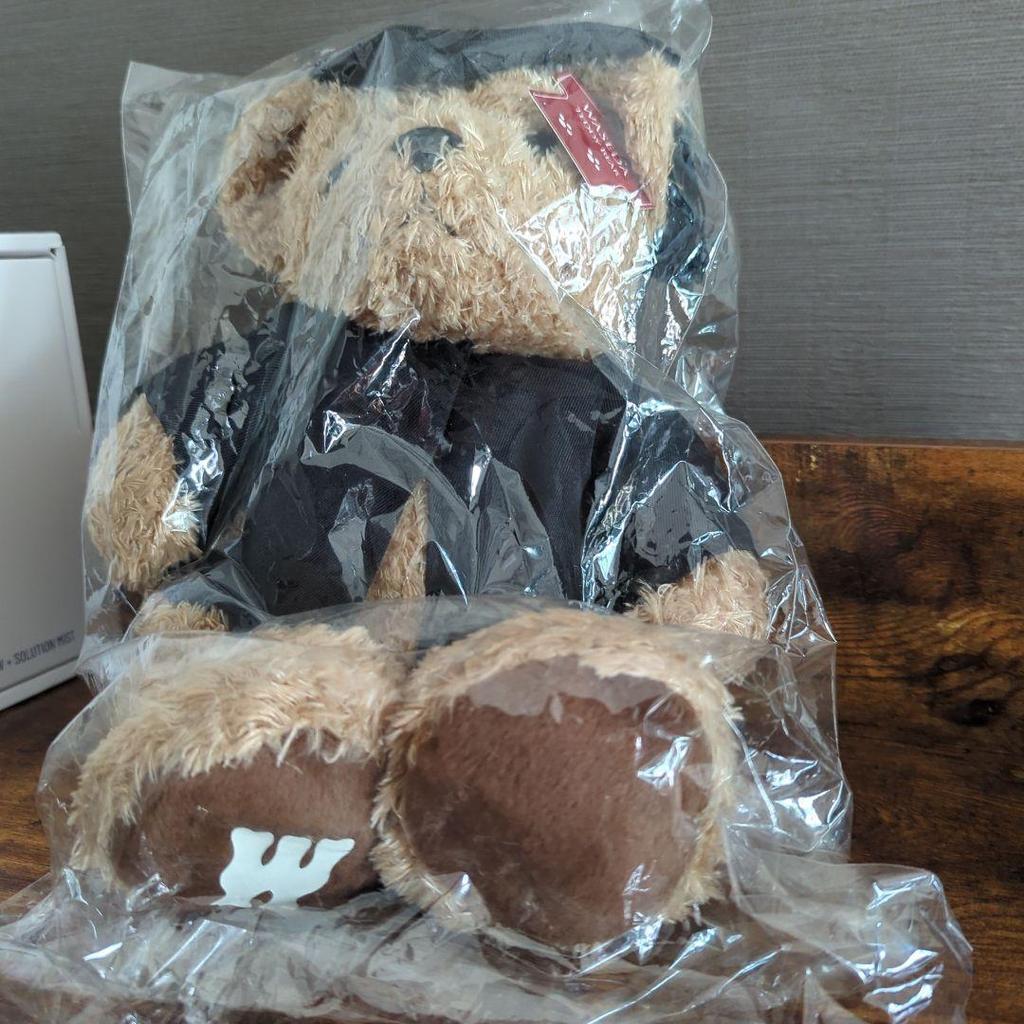 [USED] Waseda Teddy Bear - Currently Not for Sale