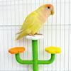 Bird Perch Stand Play Lightweight Training Toy Creative Playing Accessories Activity