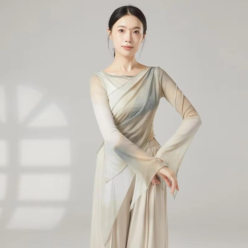 Long Slit Classical Dance Mesh Top Prints Chinese Hanfu  Women Dance Wear