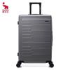 OCX6810 Frosted Hardside Spinner Luggage