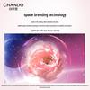 CHANDO Pink Diamond Firming Rose Skincare Set