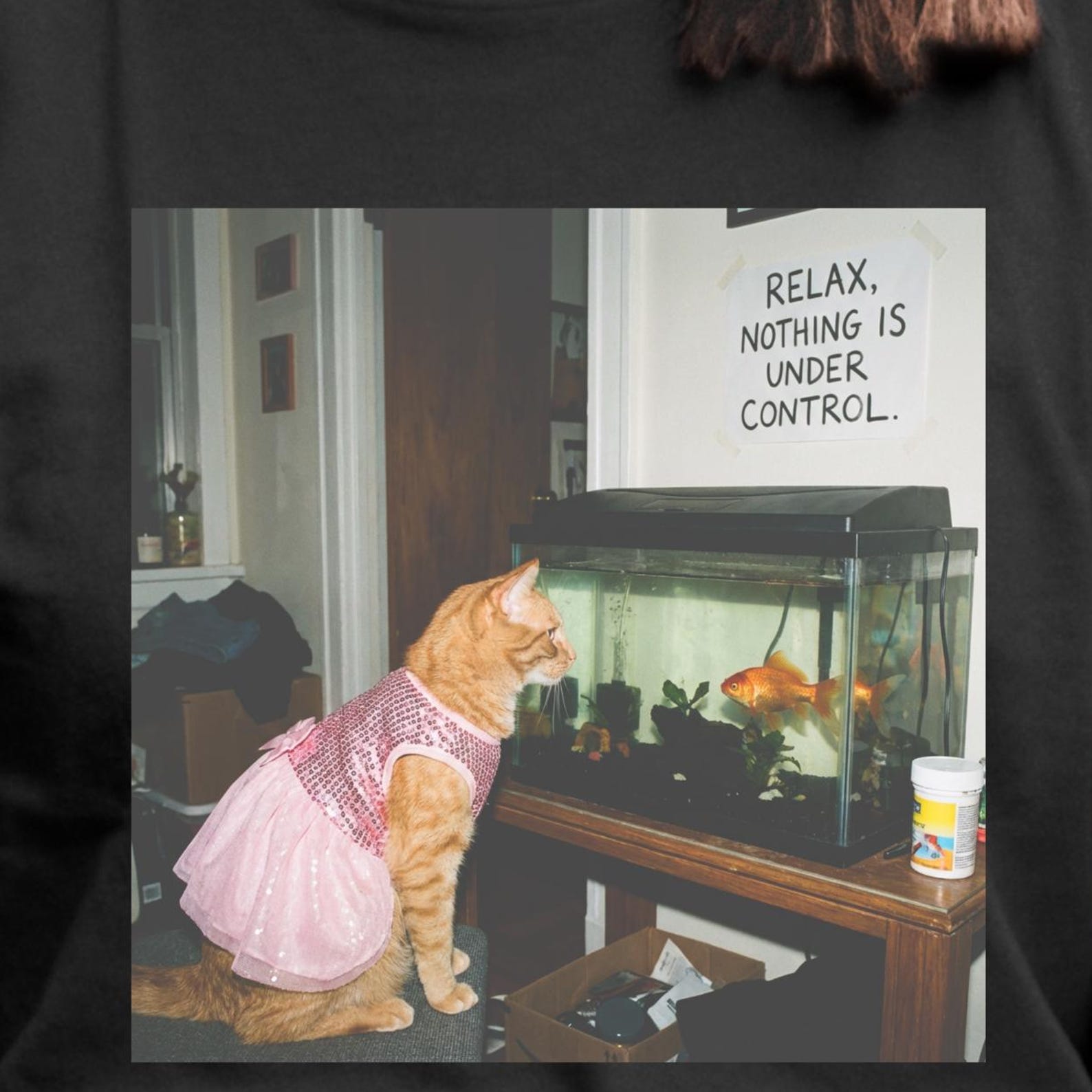 ironic Relax Nothing Is Under Control Shirt, Funny Cat and Goldfish Shirt, Sarcastic Cat Meme Tee, Chaos Humor T-Shirt. S