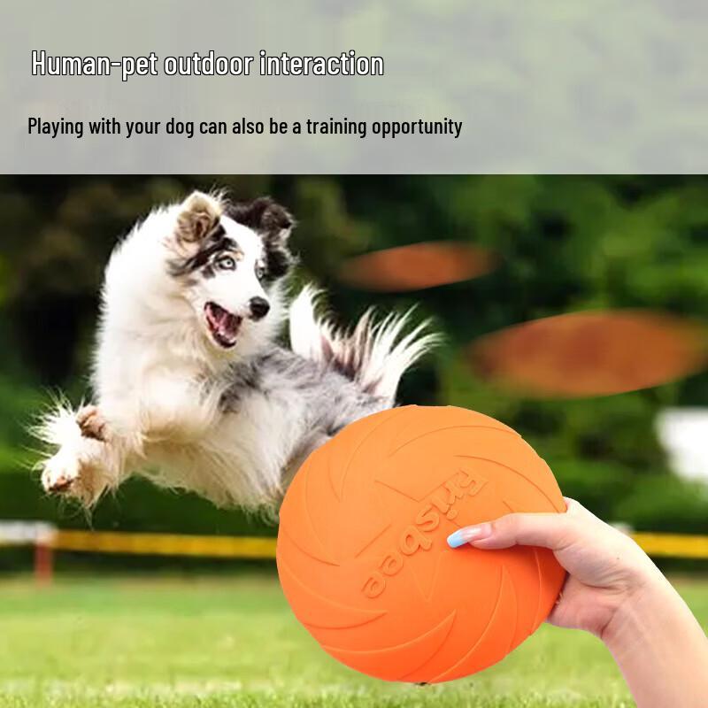 Dog Training Soft Rubber Frisbee Set