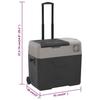 VidaXL Cooler with Wheel and Adapter, Car Refrigerator, Electric Cooler Hiking Picnic Camping, Black 3154635