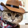 Mini Western Cowboy Pet Hat - Cute Cosplay Cap for Cats & Small Dogs, Adjustable Cowboy Style Pet Costume Accessory