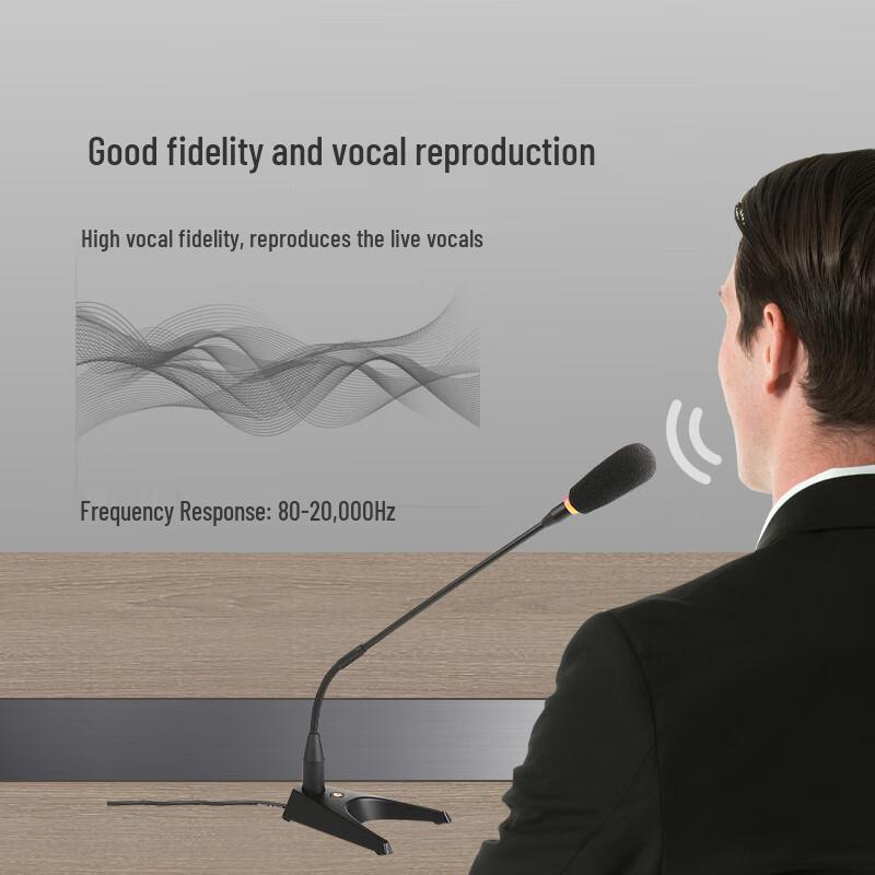 797 Dual Professional Wired Gooseneck Conference Microphone (CN version)
