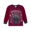HARRY POTTER Girls Long-Sleeved Pajamas Set