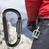 4 Stück Robuster Karabinerhaken, Outdoor-Schlüsselanhänger-Karabiner aus Aluminiumlegierung, D-förmige Metallschnalle für Wasserflasche, Schlüssel, Rucksack