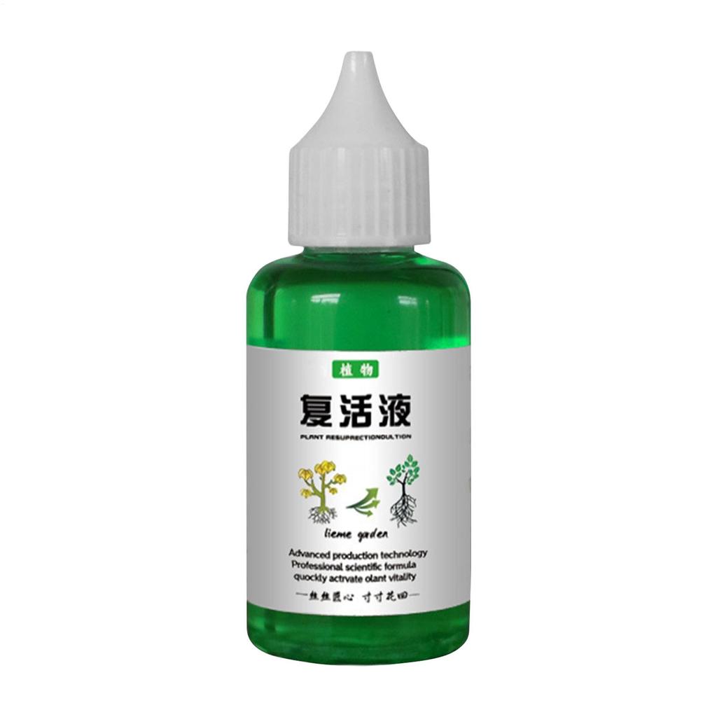 Flower Fruit Plant Nutrient Solution 50ml Outdoor Soil Growing Plant Food Promotes Healthy & Strong Growth For Gardenia Orchid
