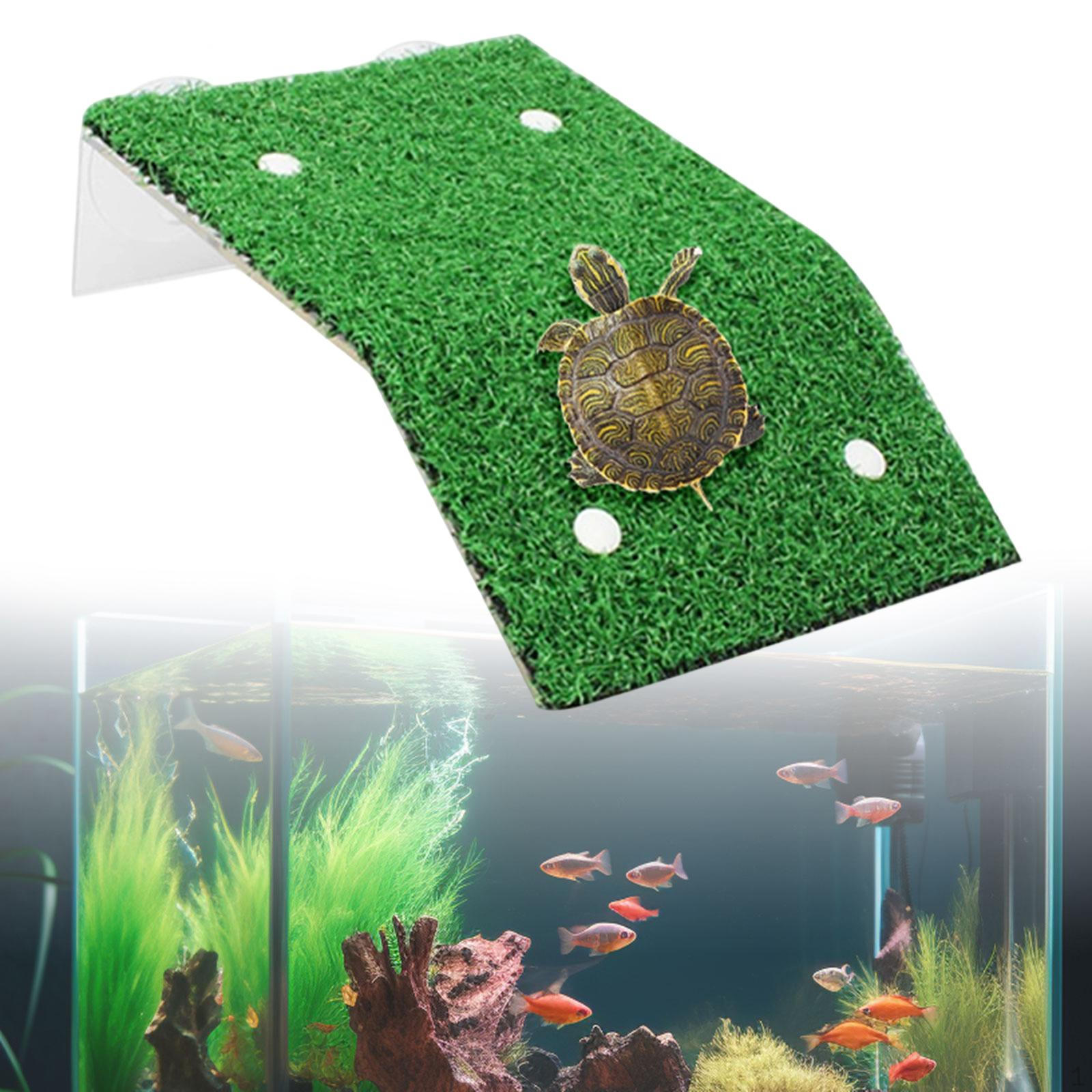 

Turtle Basking Platform Accessories Aquarium Feeding Resting Decorative Multi Functional Supplies S