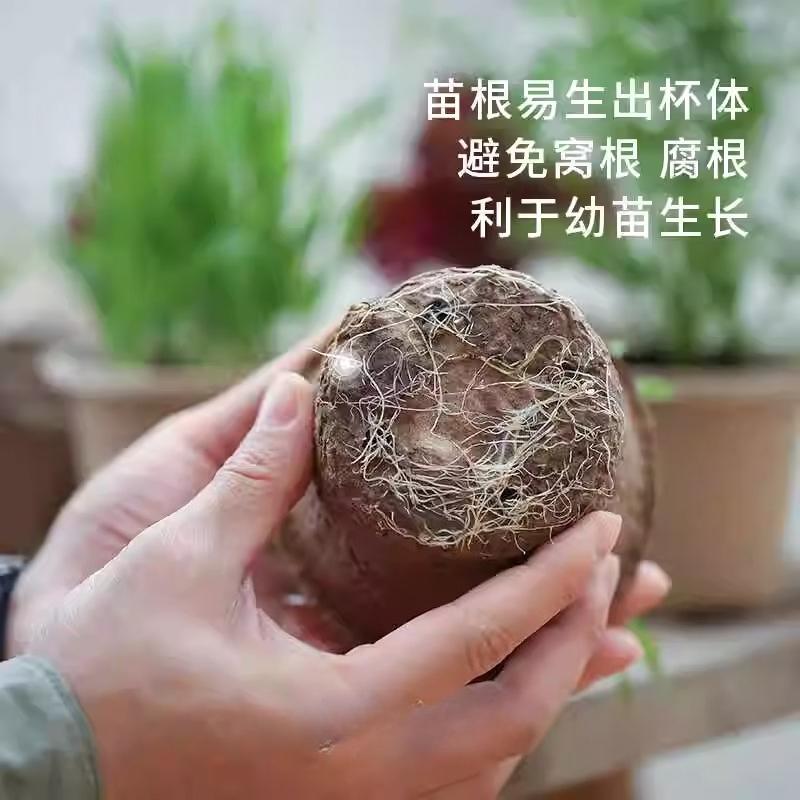 Degradable Pulp Seedling Pot Watermelon and Strawberry Breeding Pots Nutrient Pots Cultivation Cup Planting Pot Nutrition Cups