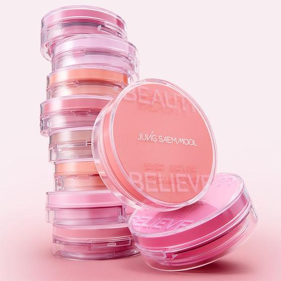 JUNGSAEMMOOL Artist Cushion Blush 4g