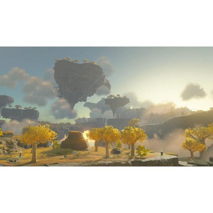 The legend of zelda: tears of the kingdom • jeu nintendo switch