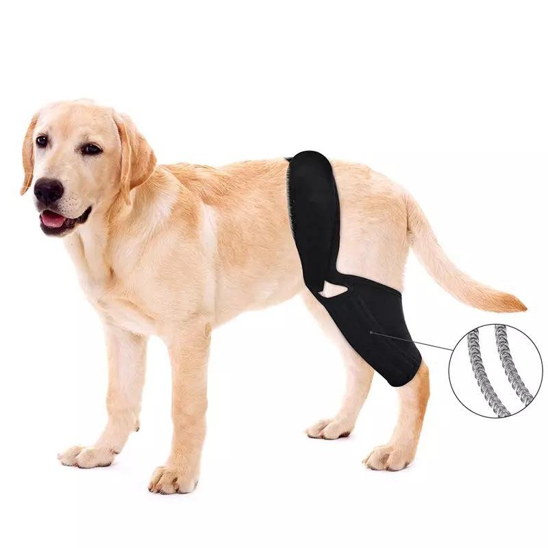 Adjustable Dog Hip Leg Support with Steel Support Chloroprene Rubber Wrap for ACL Tear Arthritis Hip Dysplasia Injury Recovery