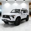 Modellino Auto Giocattolo in Lega pressofusa SUV Lexus GX550 Scala 1/24 Suono e Luci Pull Back Giocattolo per Bambini Collezionabili Regalo di Compleanno