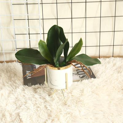 Phalaenopsis Leaf Orchid Artificial Flower Plant Wedding Decoration  Wind