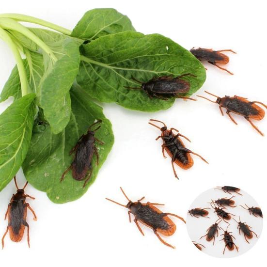 Simulation Poop Fly Cockroach Lustiger Witz Tricky Dekompressionsspielzeug Kinder Erwachsene Geschenk