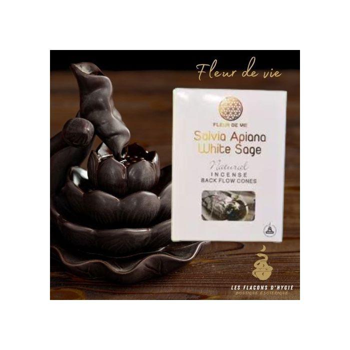 Bougeoir - Photophore - Bougie - Senteur > Encens - Encens Fleur De Vie White Sage Salvia Alpina Cônes Backflow - - Fleur De Vie