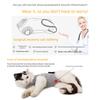 Breathable Cat Spay Recovery Suit Soft Cotton Anti Lick Surgical Garment For Post Surgery Wound Protection