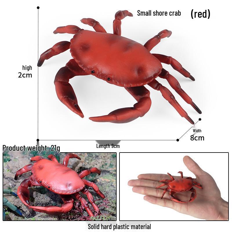 Children's Cognitive Toy: Hermit Crab Marine Animal Model Ornament