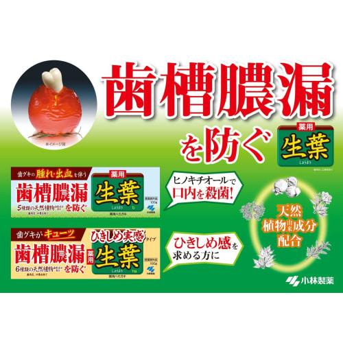 [Bulk Purchase] Hikishime Shoyo Medicated Toothpaste to Prevent Periodontal Disease, Herb Mint Flavor, 100g x 2 Packs