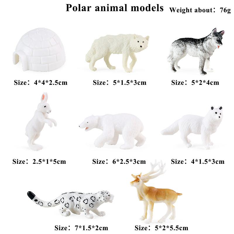 Oenux Montessori Tool Organ Vegetable Fruit Animals Brinquedo Model Action Figure Figurines Miniature Education Kid Toy Gift