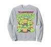 Teenage Mutant Ninja Turtles Classic Group Shot Sweatshirt