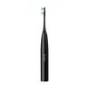 Sonic toothbrush 5 modes case cable TEESA SONIC 2 heads