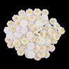 150 Piezas Resina Margarita Flor Cabujón Flatback Para DIY Centro Lazo Pelo Manualidad
