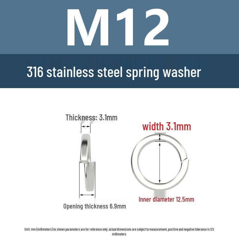 316 Stainless Steel M4-M16 Lock & Flat Spring Washers