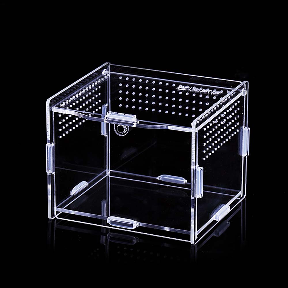 Hatcher Frogs Lizard Snakes Breeding Box Hatching Terrariums Reptile Incubator Insect Supplies