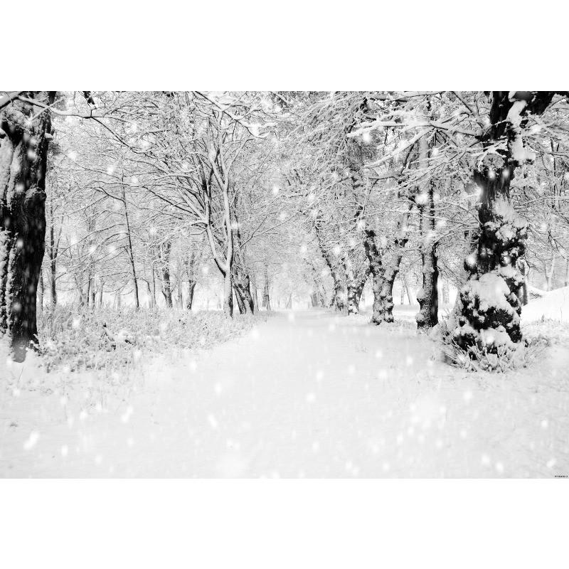 Plakat Świąteczny Scena Śnieżna Rekwizyty Tła Festiwalowego do Dekoracji Domu, Imprez, Studia, Uroczystości Plenerowych, Ślubu