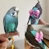 1PC Parrot Vest Harness Decorative Bow Adjust Bird Harness Without Leash for Pet Bird Cockatiels Budgies Outdoor Training Flying