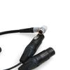 ZBLZGP Audio Breakout Input Cable, 10-pin to Dual 3-pin XLR Female, for Atomos Shogun Flame Monitor Recorder (Elbow Plug Cable)