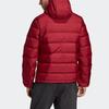 Adidas Helionic Down Jacket Men's DZ1426