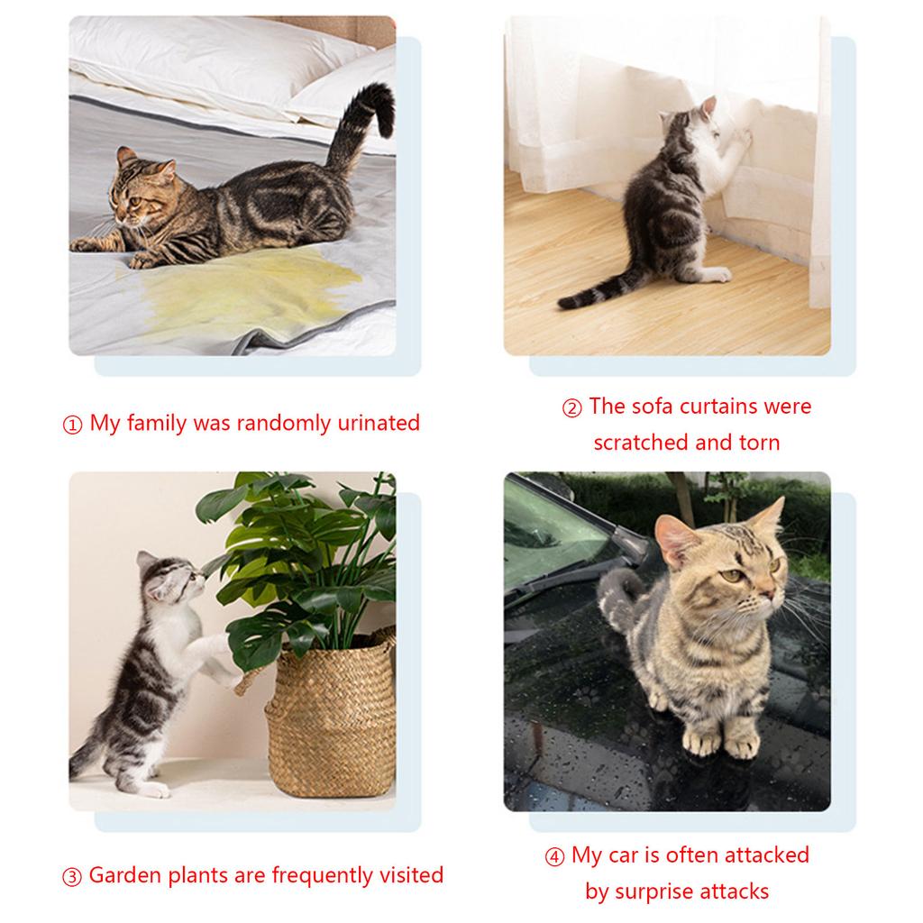 Potty Training Aid for Dogs Teach Your Pup Where Not To Go Puppy Training Dog Training Spray Forbidden Area 500ml