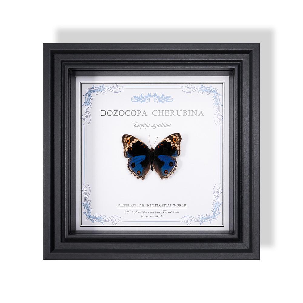 Wall-Mounted Butterfly Specimen Photo Frame: Home Decor & Gift for Valentine's Day, Qixi, Birthday, Couples & Insect Lovers