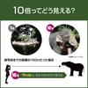 DGR 10×21RCWP