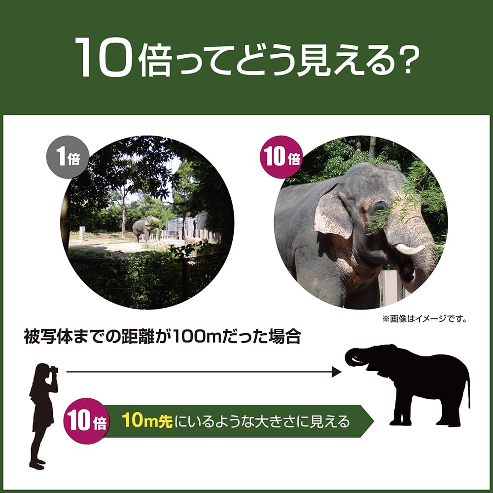 DGR 10×21RCWP