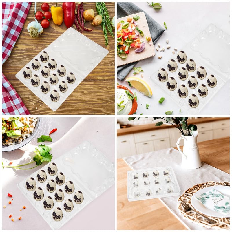 Uonlytech 20-Piece Clear Quail Egg Cases, Clear Plastic Refrigerator Egg Storage Boxes, Convenient Kitchen Storage, 21.5 x 13.5 x 3 cm