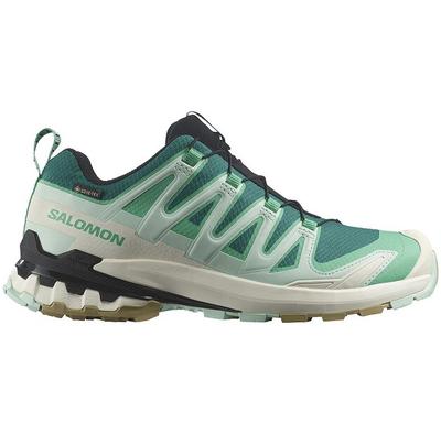 Xa Pro 3D V9 Goretex Trail Running Shoes