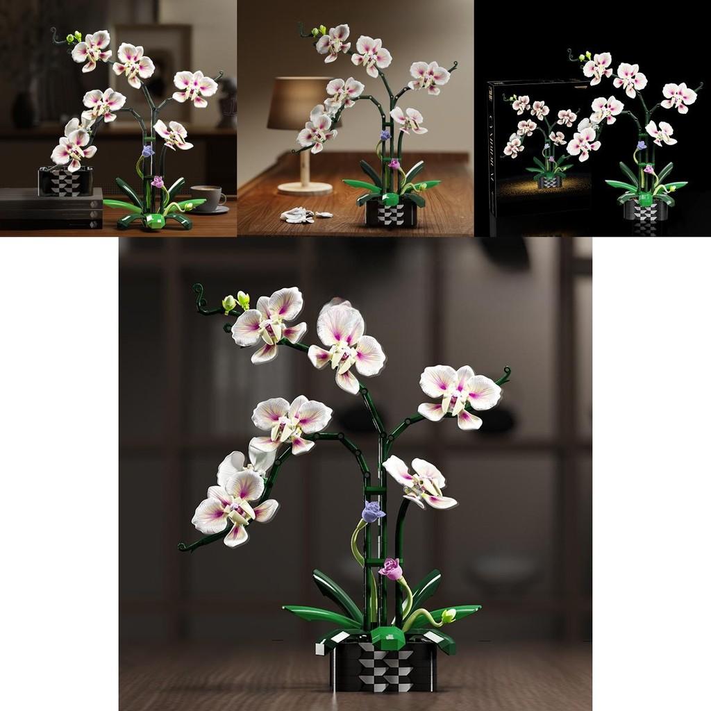 Cymbidium Building Block Toy With Abs Plastic For Children Diy Creative Play Gift