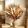 97 Delen Natuurlijk Gedroogd Pampasgras Boeket Konijnenstaartjes Rietbloemen Boho Huis Bruiloft Kamer Bloemen Decoratie