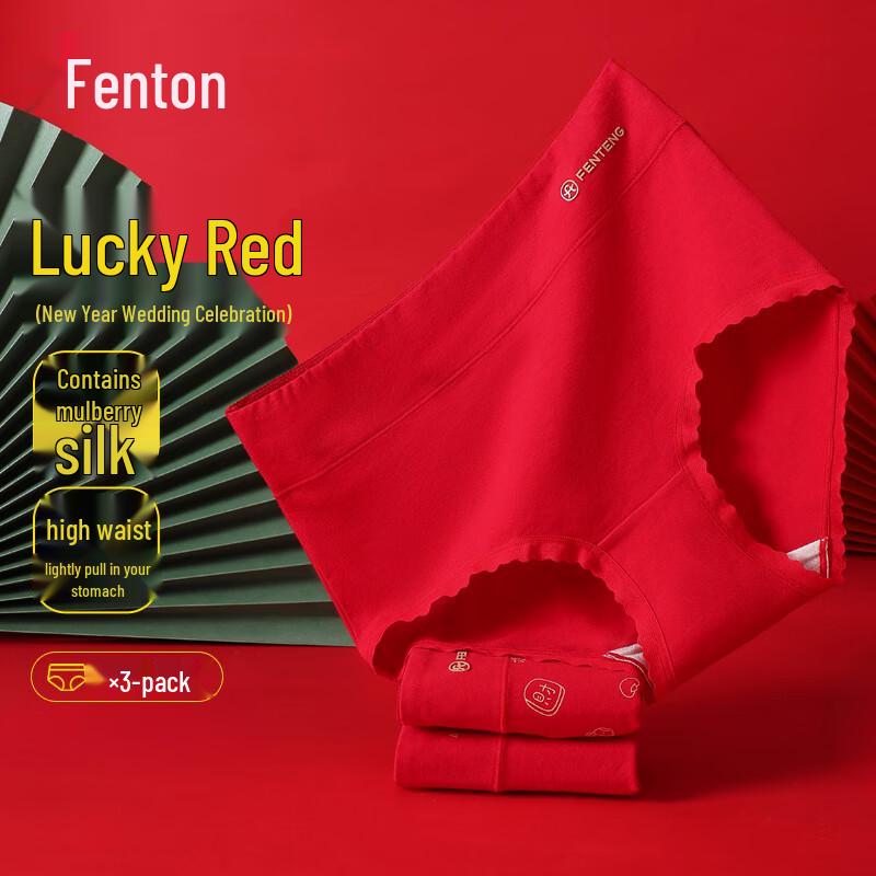 

Fenteng Women s High-Waist Cloud Cotton Briefs 3-Pack L