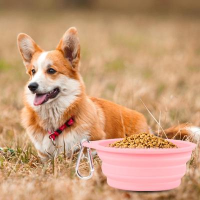 Gamelle pour animaux de compagnie 600 ml, pratique, pliable, en silicone, portable, facile à nettoyer, pour chats et chiens