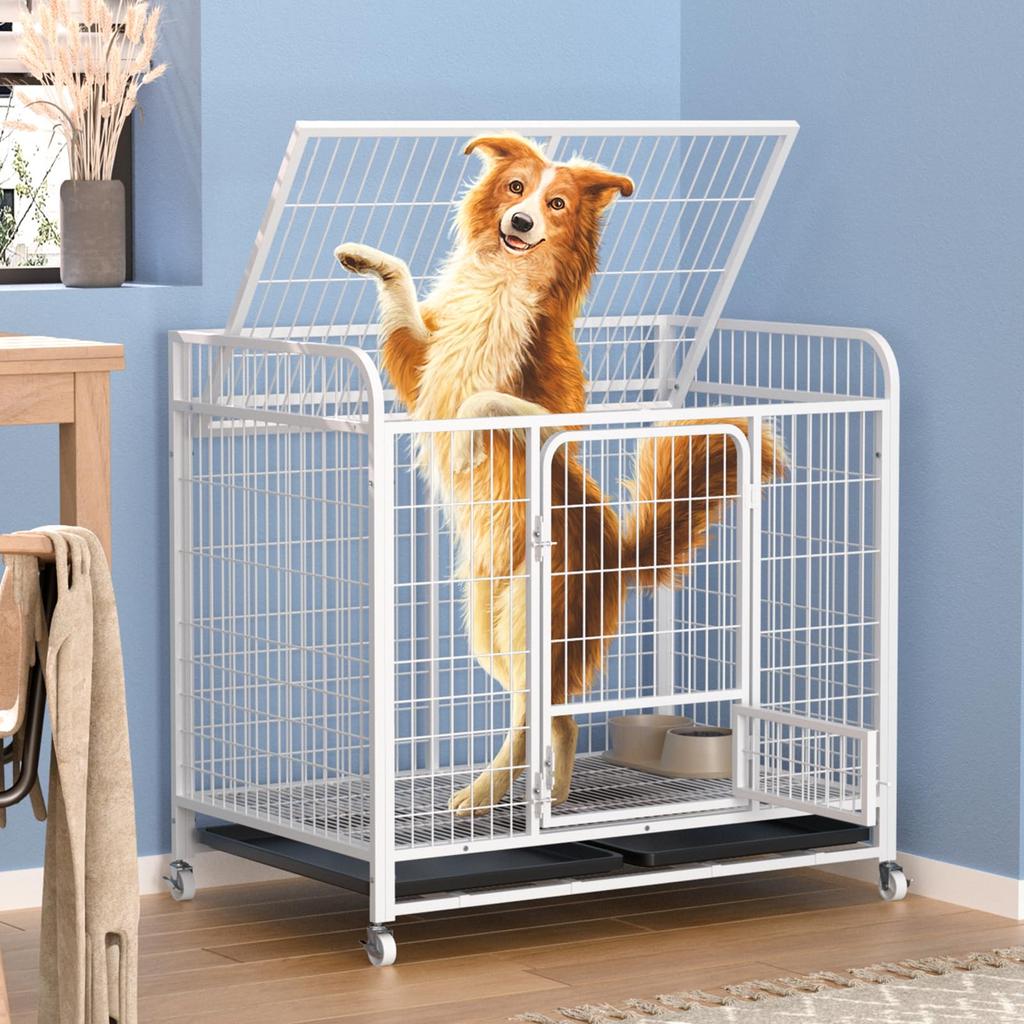 Areden Dog Cage with Roof (Pet Circle) Foldable, Escape Prevention, Indoor and Outdoor Use, Rust Prevention, Multifunctional, Tray Included